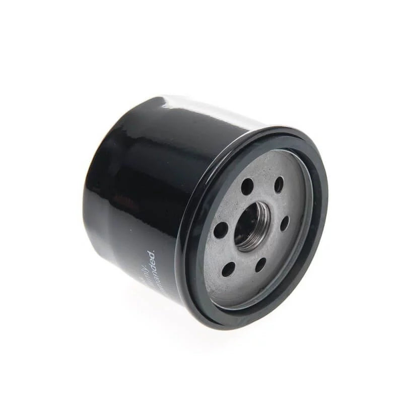 Filtre à huile Vanguard B&S 20-23HP – vue produit